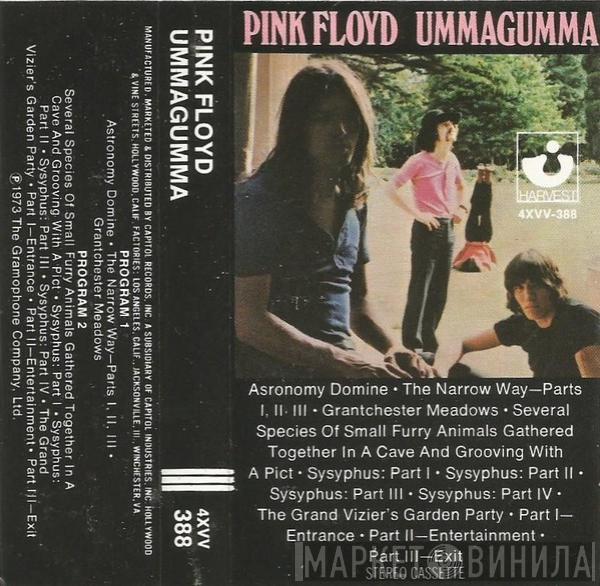  Pink Floyd  - Ummagumma