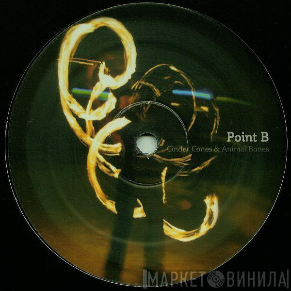 Point B - Cinder Cones & Animal Bones