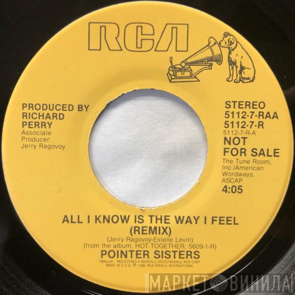 Pointer Sisters - All I Know Is The Way I Feel