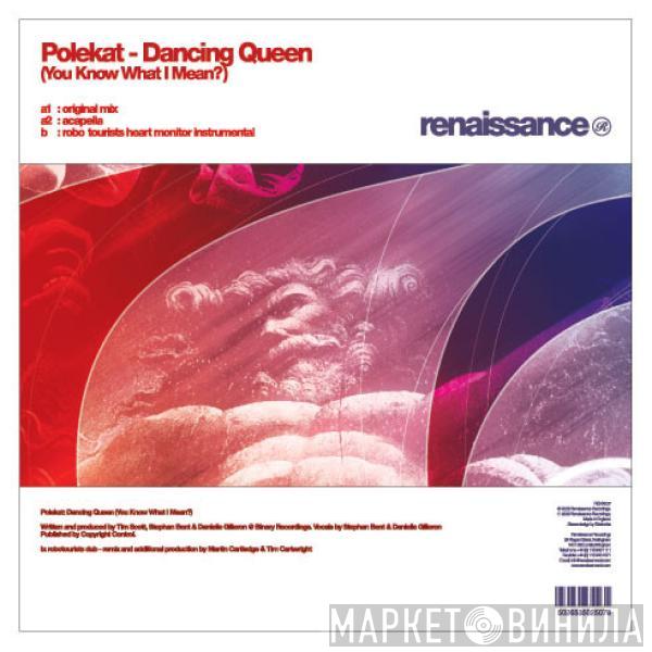 Polekat - Dancing Queen (You Know What I Mean?)