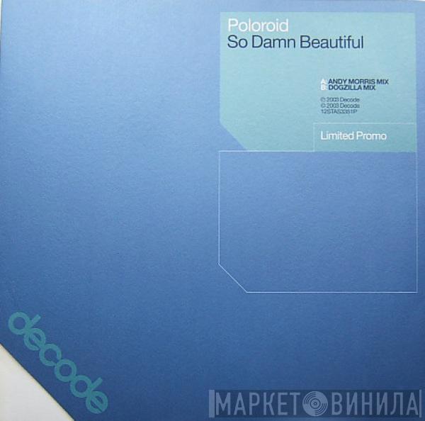 Poloroid - So Damn Beautiful