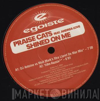 Praise Cats, Andrea Love - Shined On Me