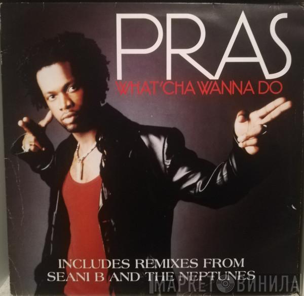 Pras Michel - What'cha Wanna Do