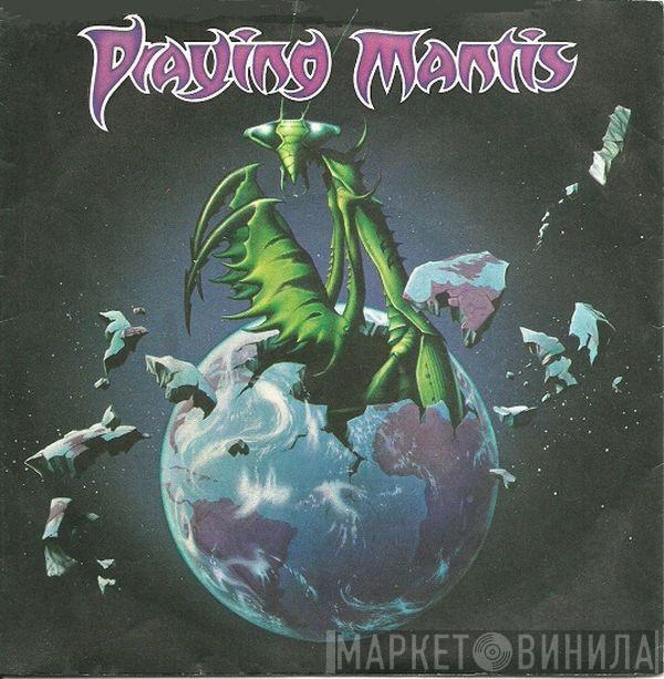 Praying Mantis  - Praying Mantis