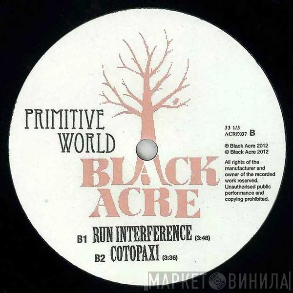 Primitive World - Danceteria