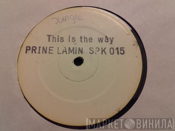 Prince Lamin - This Is The Way