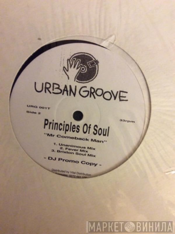 Principles Of Soul - Mr Comeback Man