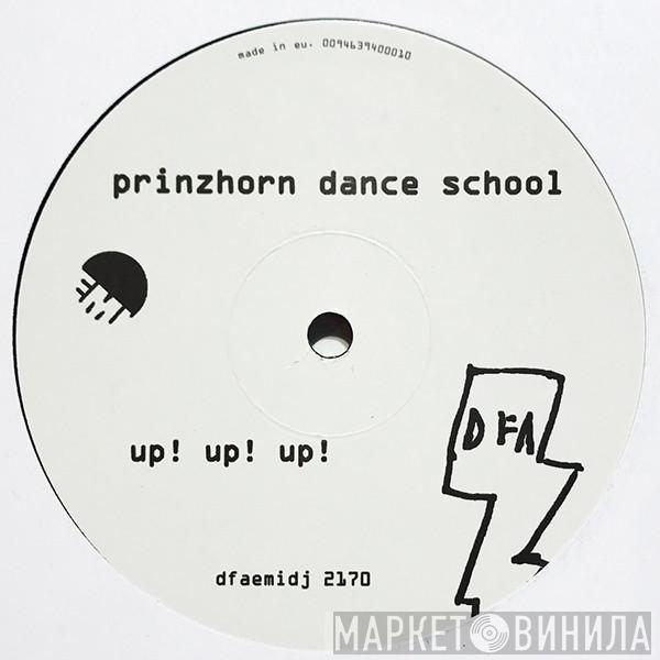 Prinzhorn Dance School - Up Up Up / Lawyers Water Jug