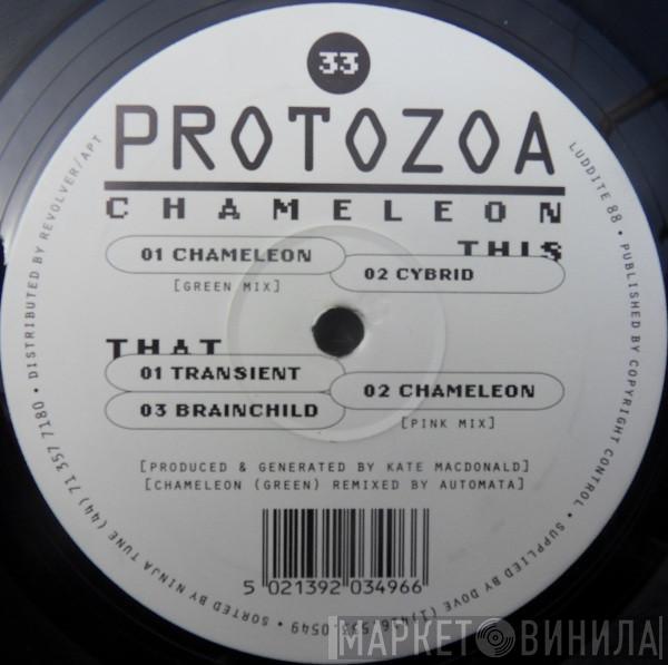 Protozoa - Chameleon