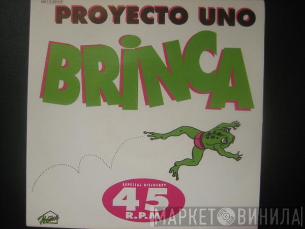 Proyecto Uno - Brinca