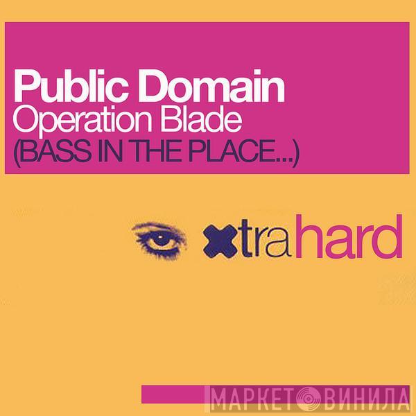  Public Domain  - Operation Blade (Bass In The Place...)