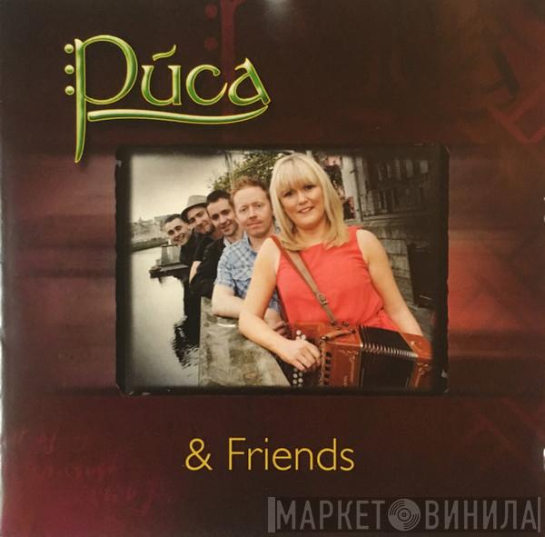 Puca & Friends - Arlington Hotel Dublin
