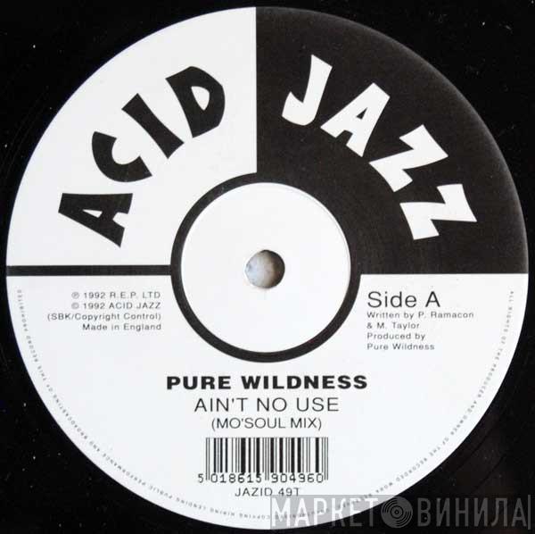 Pure Wildness - Ain't No Use