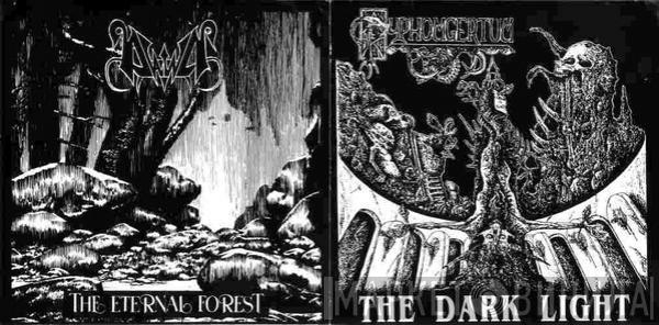 Pyphomgertum, Dawn  - The Dark Light / The Eternal Forest