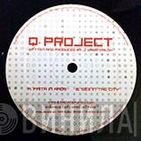 Q Project - Faith In Chaos / Sex In The City
