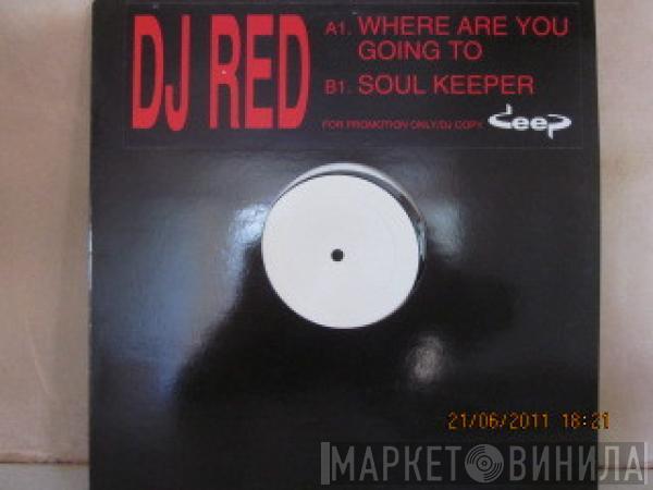 R.E.D.  - Where Are You Going To / Soul Keeper