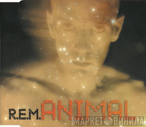 R.E.M. - Animal