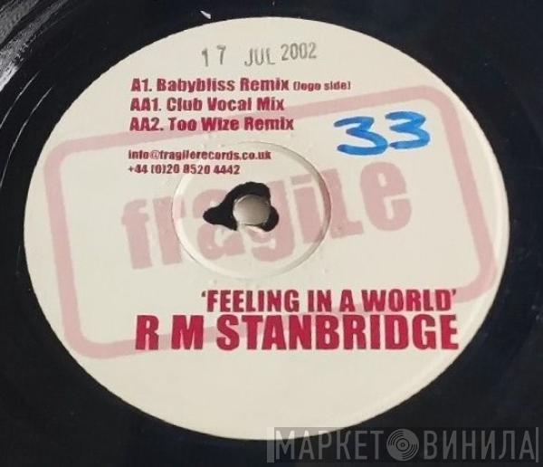 R M Stanbridge - Feeling In A World