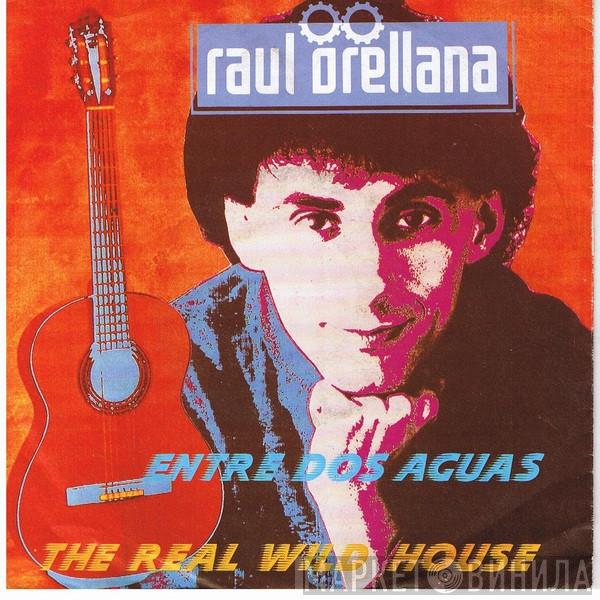  Raúl Orellana  - The Real Wild House