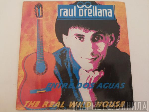  Raúl Orellana  - The Real Wild House