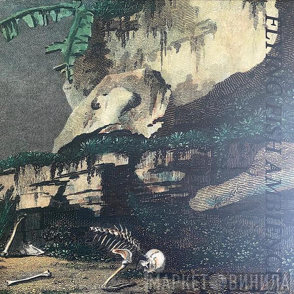 Rainforest Spiritual Enslavement - Flying Fish Ambience