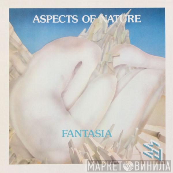 Ralph Lundsten, Wynand Ott - Aspects Of Nature / Fantasia