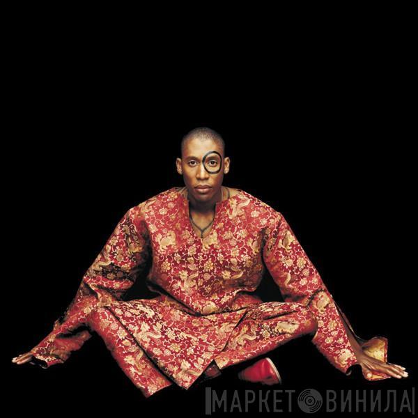 Raphael Saadiq - Instant Vintage