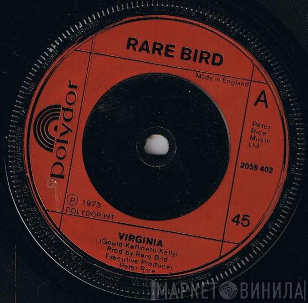 Rare Bird - Virginia