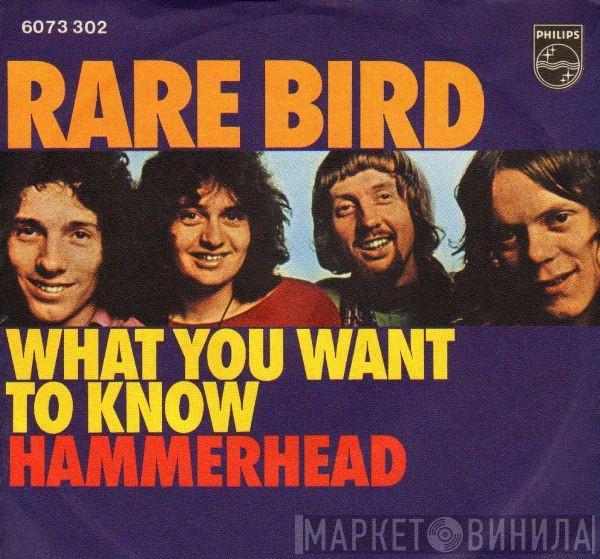 Rare Bird - What You Want To Know