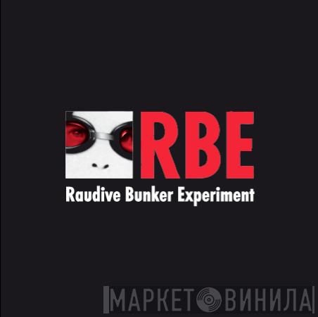 Raudive Bunker Experiment - Raudive Bunker Experiment