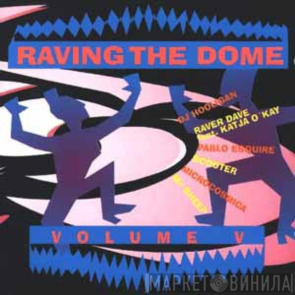  - Raving The Dome Volume V