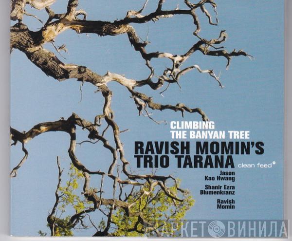 Ravish Momin's Trio Tarana - Climbing The Banyan Tree