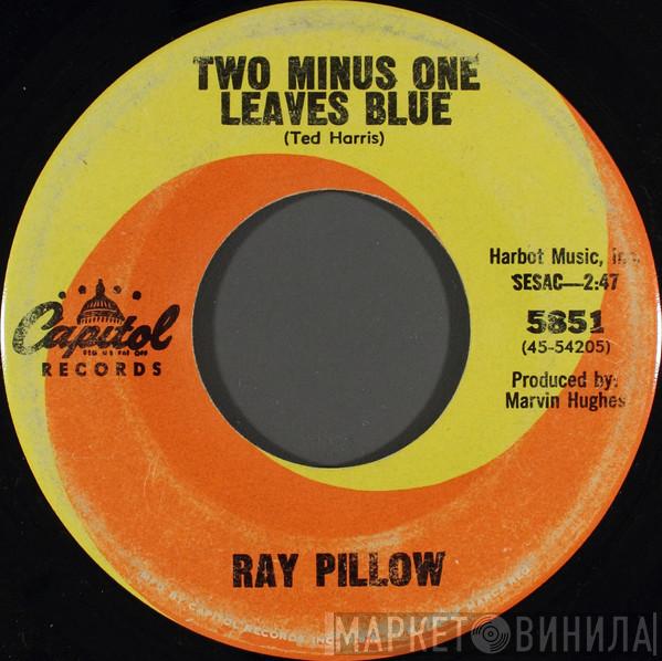 Ray Pillow - Two Minus One Leaves Blue