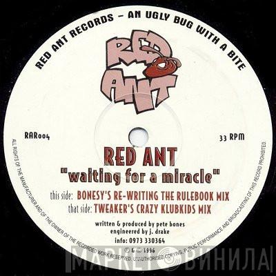 Red Ant - Waiting For A Miracle