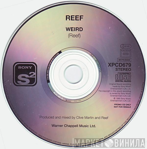 Reef - Weird
