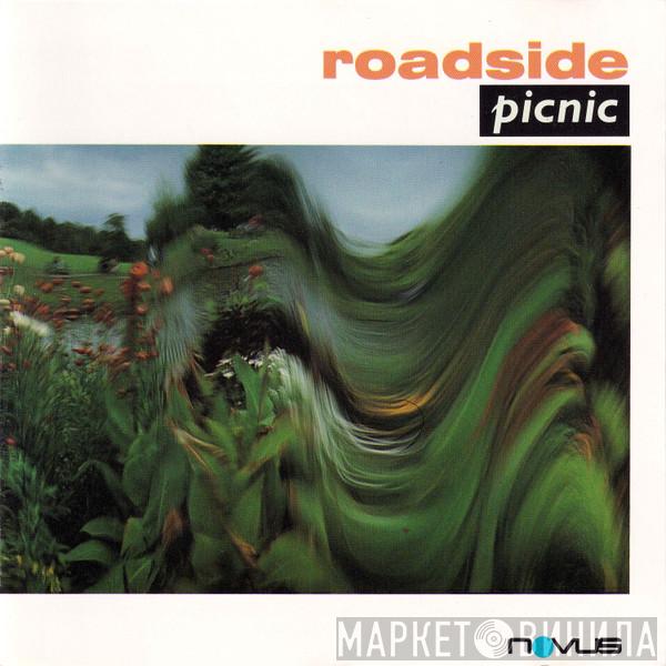 Roadside Picnic - Roadside Picnic