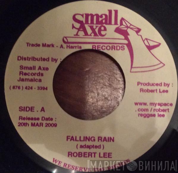 Robert Lee  - Falling Rain