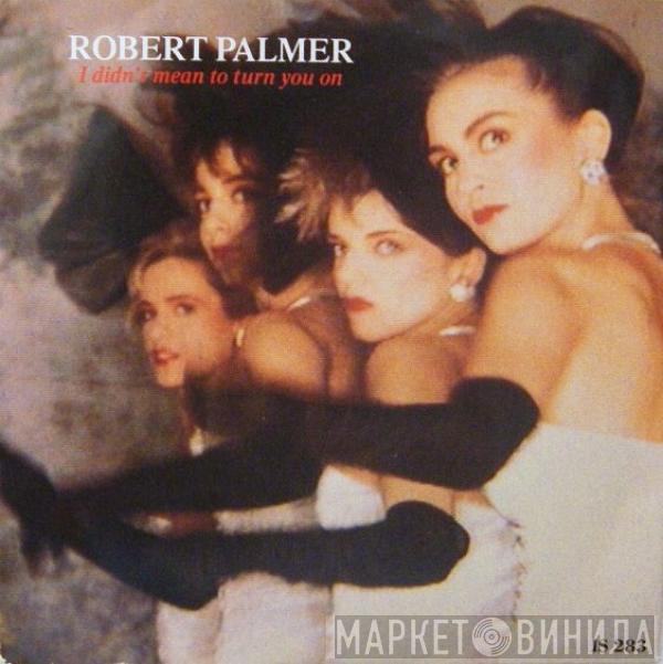  Robert Palmer  - I Didn't Mean To Turn You On