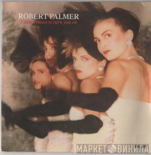 Robert Palmer - I Didn't Mean To Turn You On