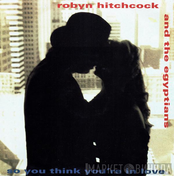 Robyn Hitchcock & The Egyptians - So You Think You're In Love