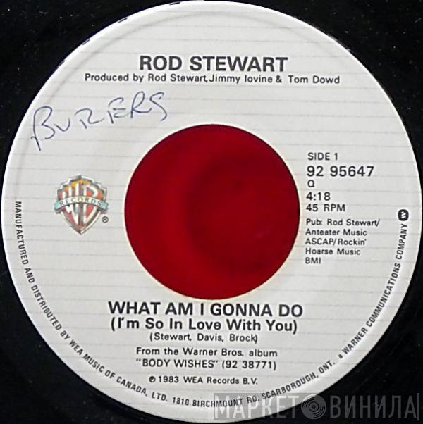  Rod Stewart  - What Am I Gonna Do (I'm So In Love With You)