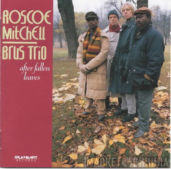 Roscoe Mitchell, Brus Trio - After Fallen Leaves