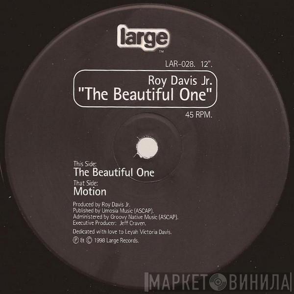 Roy Davis Jr. - The Beautiful One