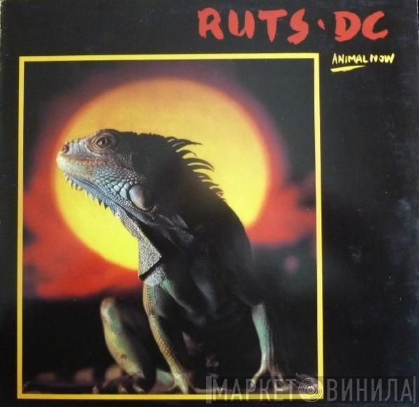 Ruts DC - Animal Now