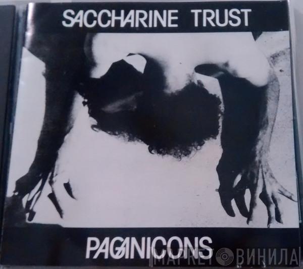 Saccharine Trust - Paganicons