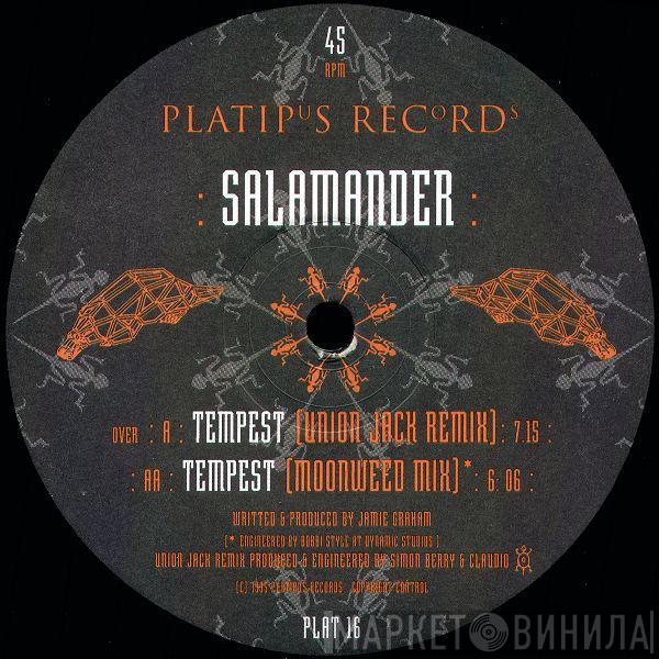 Salamander - Tempest