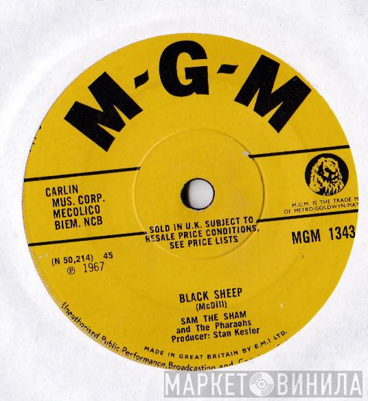 Sam The Sham & The Pharaohs - Black Sheep