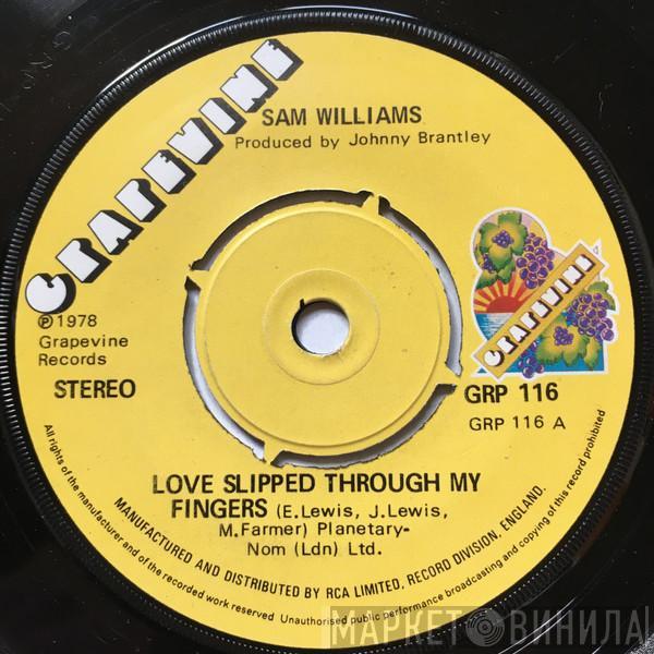 Sam Williams , Towanda Barnes - Love Slipped Through My Fingers / You Don't Mean It