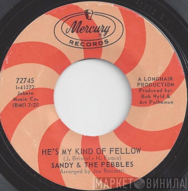  Sandy & The Pebbles  - He's My Kind Of Fellow / My Foolish Little Heart