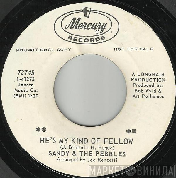  Sandy & The Pebbles  - He's My Kind Of Fellow / My Foolish Little Heart